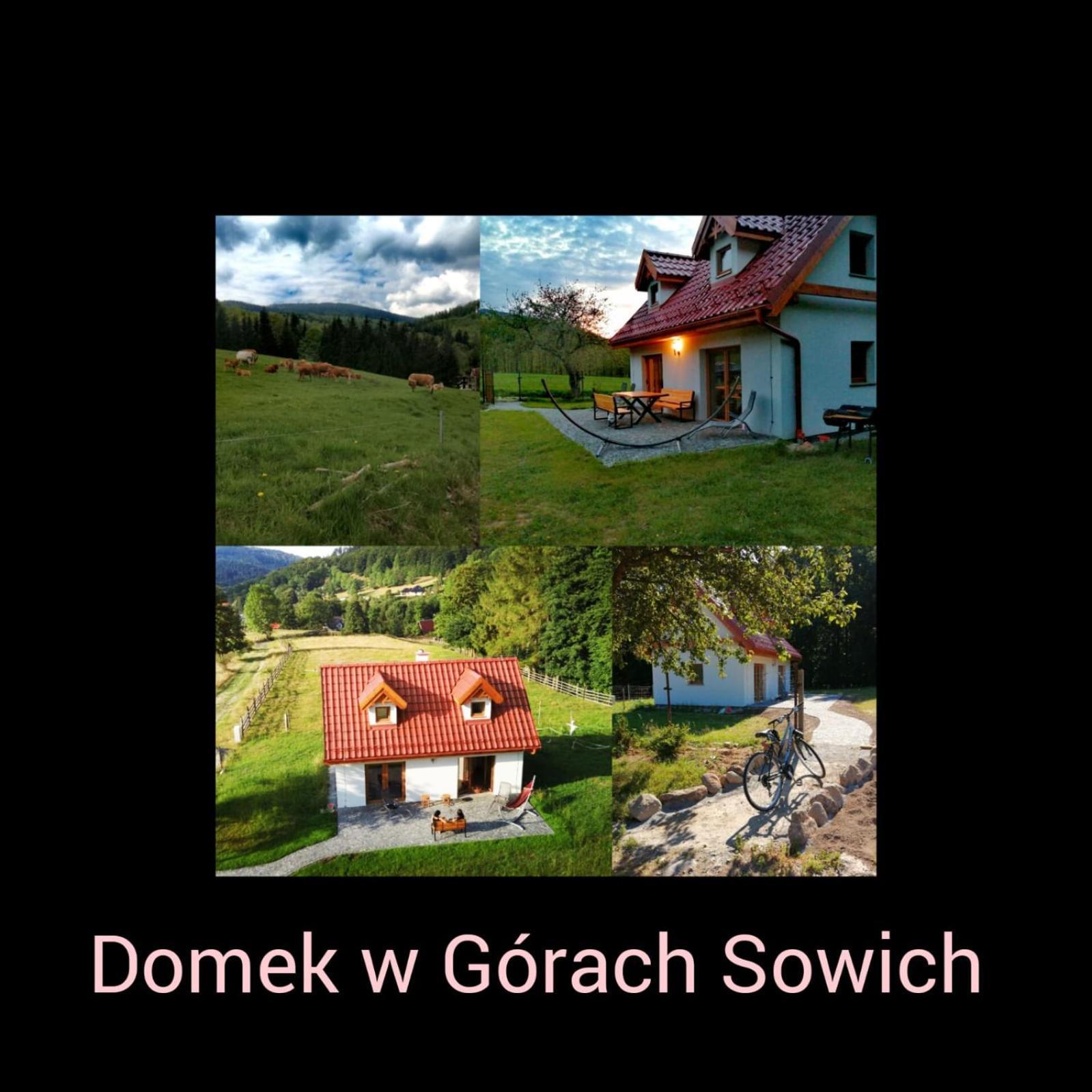 Domek W Gorach Sowich Pieszyce Eksteriør billede